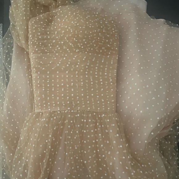 Vintage-Inspired Nude Polka Dot Tulle Dress – Size M - Picture 3 of 5